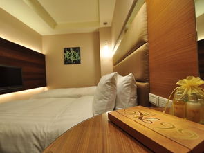 金门in99精品旅馆 经济型住宿预订优惠、地址位置与联系方式全攻略