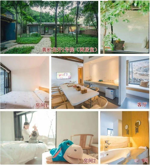 一价全包轻松遛娃，绣球花海环绕的精品亲子民宿，必须来打卡！